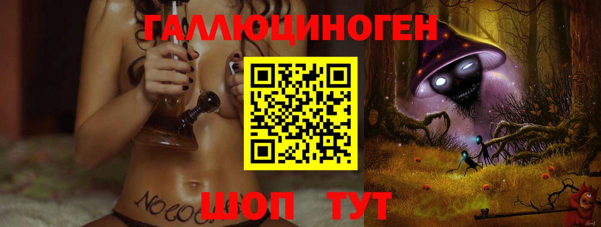 Галлюциногенные грибы Psilocybe  Вход с VPN  Гай 