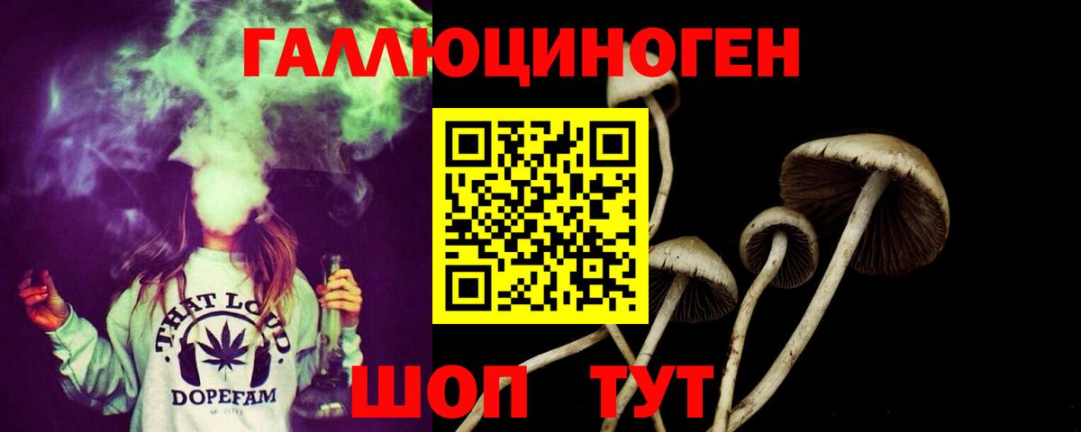 Галлюциногенные грибы Cubensis Гай